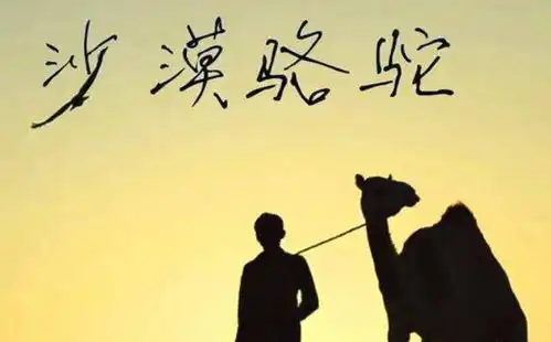 表情沙漠骆驼主唱封杀后,面筋哥也消失,徒有皮囊注定走不远表情