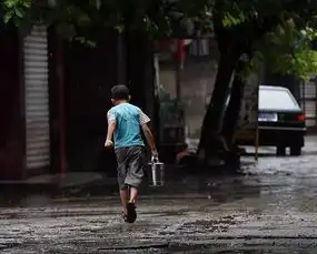 下雨的时候是慢走还是快跑