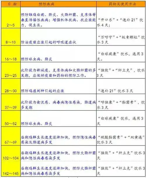 鸡频发呼吸道怎么办,鸡呼吸道病吃什么药教你一招轻松防治