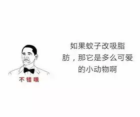 我不爱你,请你滚出我的世界