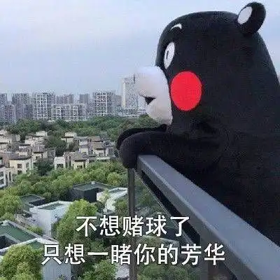 逃离天台,世界杯养生竞猜帮到你