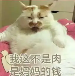 气到想跳脚,胖子竟然对瘦子提出这么蠢的问题