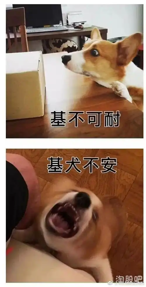 看图猜成语,没毛病哈哈哈哈太搞笑了