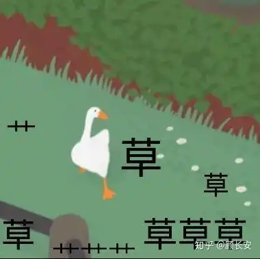 你为什么雷杰佣