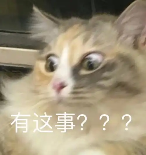 人间观察
