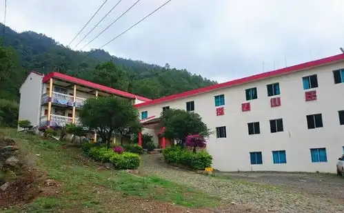 山村旅游项目失败,几百猴子泛滥成灾,现实版猩球崛起上演