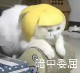 日照铭万众丨穿搭丨普通女孩怎么才能变时髦这个亚洲博主就做到了
