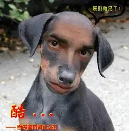 哪个有搞笑滴图片...发给我看看丫,谢谢