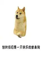 测试一个超长简介的文章