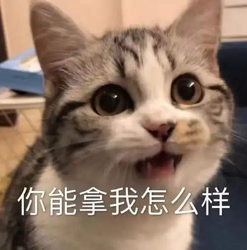 表情包我为我的莽撞自罚一杯