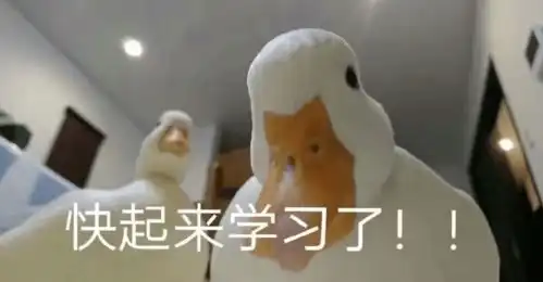 这个本科宿舍人手一篇sci,却查无此人秘诀是