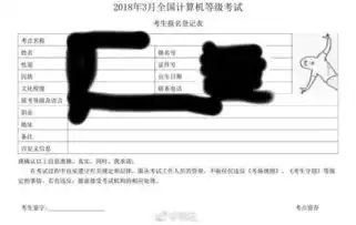用了这张表情包,计算机二级一下子就成功了