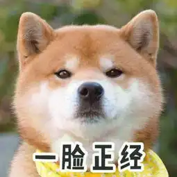 奇葩2018年最尴尬的新闻,太搞笑了