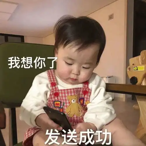 表情包你说的对但我不听