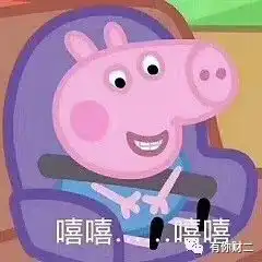 柯宝生日
