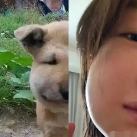 周冬雨因拔智齿脸肿成表情包网友直呼认不出