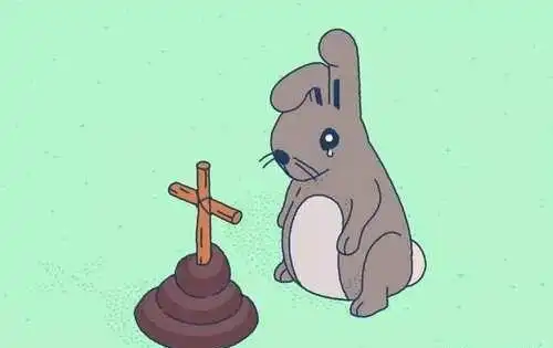 测试一个超长简介的文章