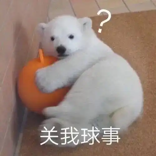 我猜每个人都会有那么几个狗狗的表情包