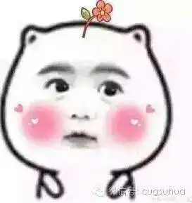 对话神秘组织地大表白墙