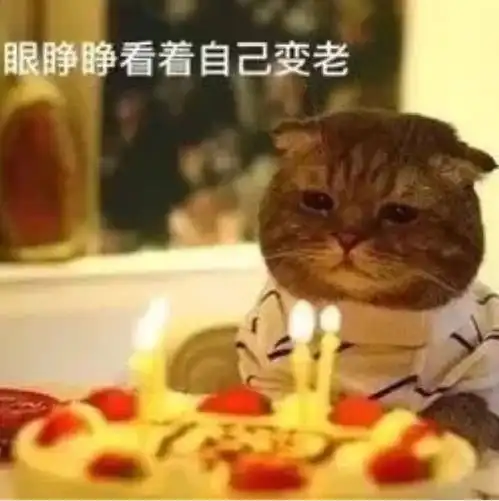 网友们晒出收藏的搞笑图,让人笑到肚子疼