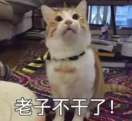别说游戏能开挂,就连剪刀石头布都有致命必胜大法
