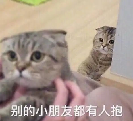 最近新收集的一波猫咪表情包,来收图吧