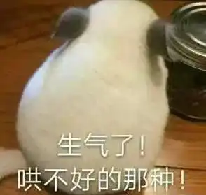 十二星座专属新疆美食,没想到处女座居然是炒米粉