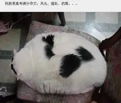 采葛的相片