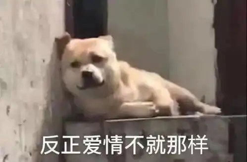 搞笑单身狗表情包你有对象,老子看不起你,反正爱情不都是那样