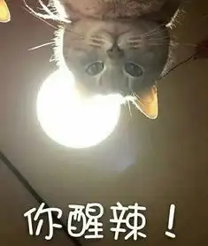 直男模仿女生吵架,哈哈哈哈堪称戏精附体了