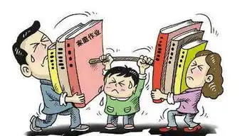 新华网评