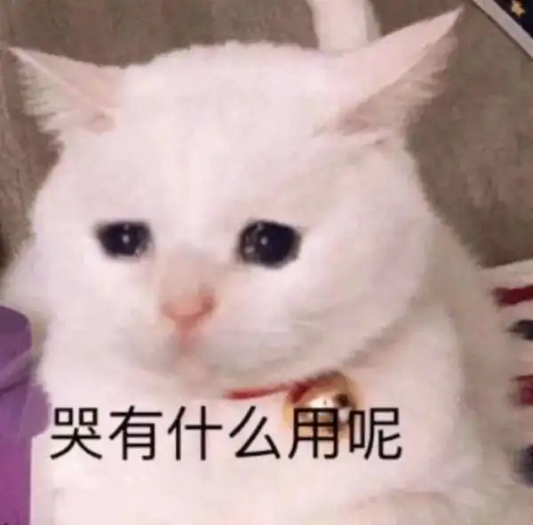 24岁男子海口一餐馆落网被抓时还与多名美女热聊