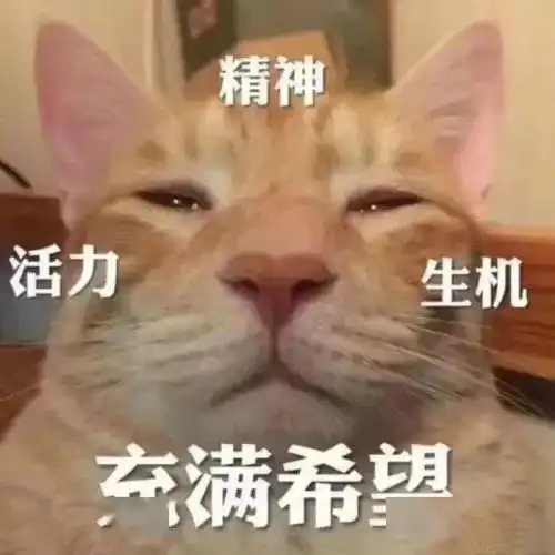 今日份热门表情包i今晚出来喝奶茶再不约的话我就要回农村了