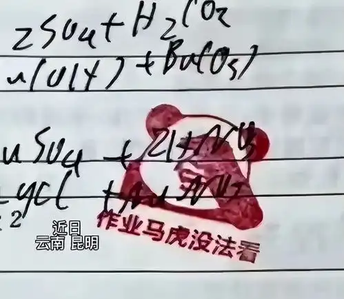 云南一90后教师用表情包批改作业,网友批评说不严肃,你怎么看