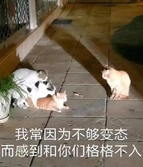 真的男人觉得piao很无所谓吗