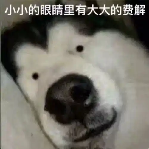 狗知道自己是狗吗不,它以为自己是祖宗
