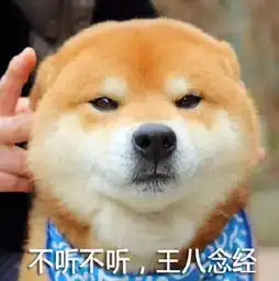 三级头要进空投啦测试服更新早知道