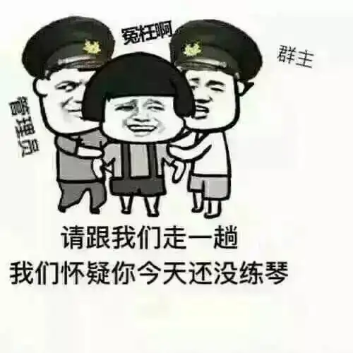 钢琴表情包,学琴的人才能看懂