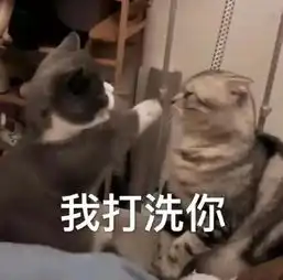 猫咪表情包我们要的从来就不是爱,而是偏爱