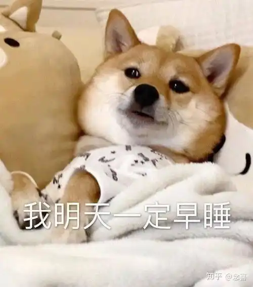 对付自己持续更共勉