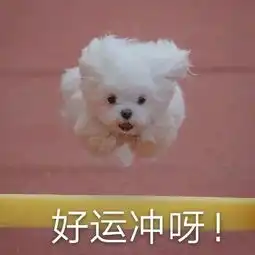 表情包