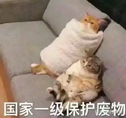 作为一个近期突然感兴趣才入坑阴阳师的人,前期怎么养