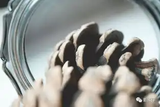 你的照片看起来很单调,这10个技巧可以摆脱单调