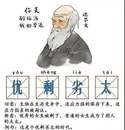 wow人均拥有78.6种坐骑