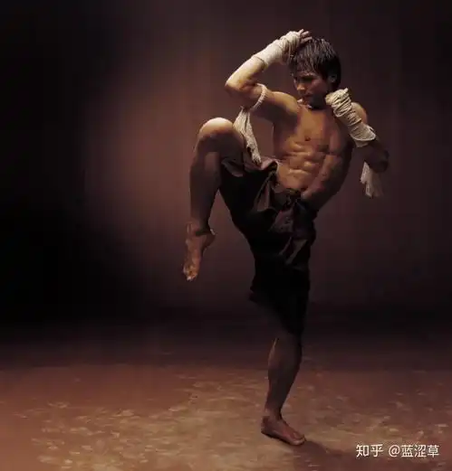 战斗吧热血沸腾的六部亚洲动作片