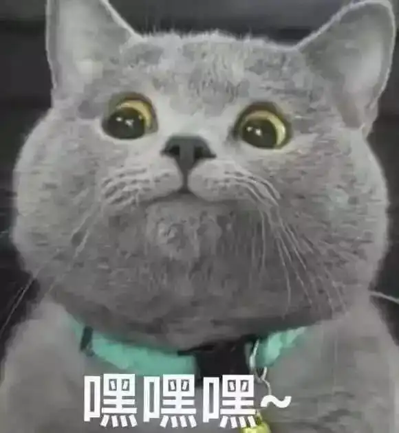 火速围观小鲜肉女神老戏骨又在这里拍戏了