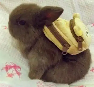 每日一笑,一大波搞笑图片来袭