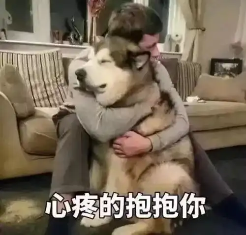 12月23日起开抢春运火车票这份订票时间表一定要收好