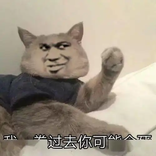 测试一个超长简介的文章