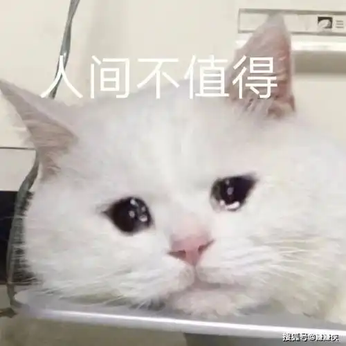 热门表情包图片要亲亲,大口的这巴掌是赏你的